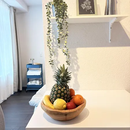 Modernes Zentrum Nahe Hockenheimring Mit 2 Betten, Wlan & Kitchenette